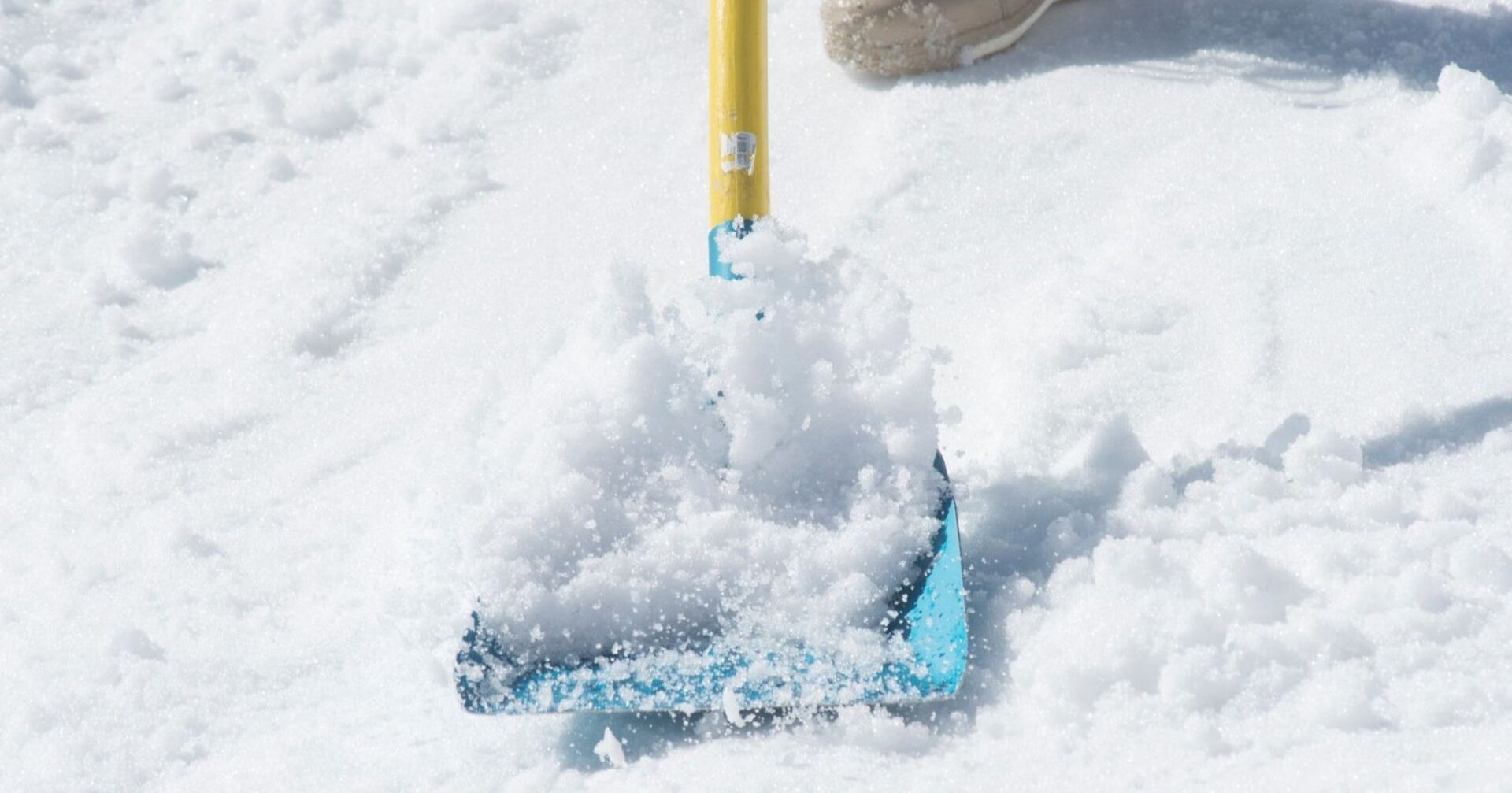 Die Schneefallgrenze sinkt im Verlauf der kommenden Woche teilweise bis auf 1.000 Meter ab.