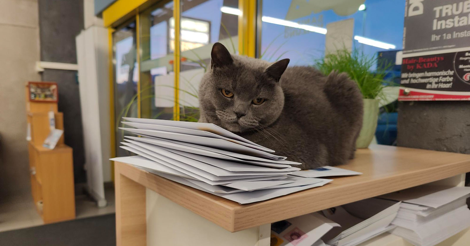 Corona sitzt auf Schreibtisch | Credit: Lilli Platzer