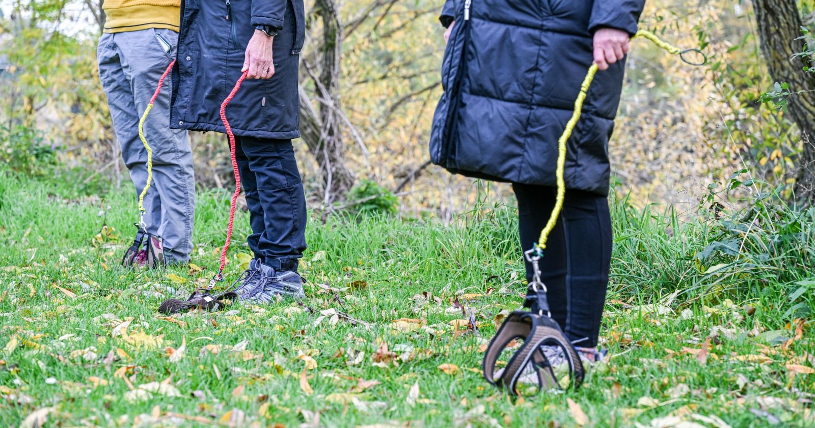 Drei Menschen mit Leine, aber ohne Hund.