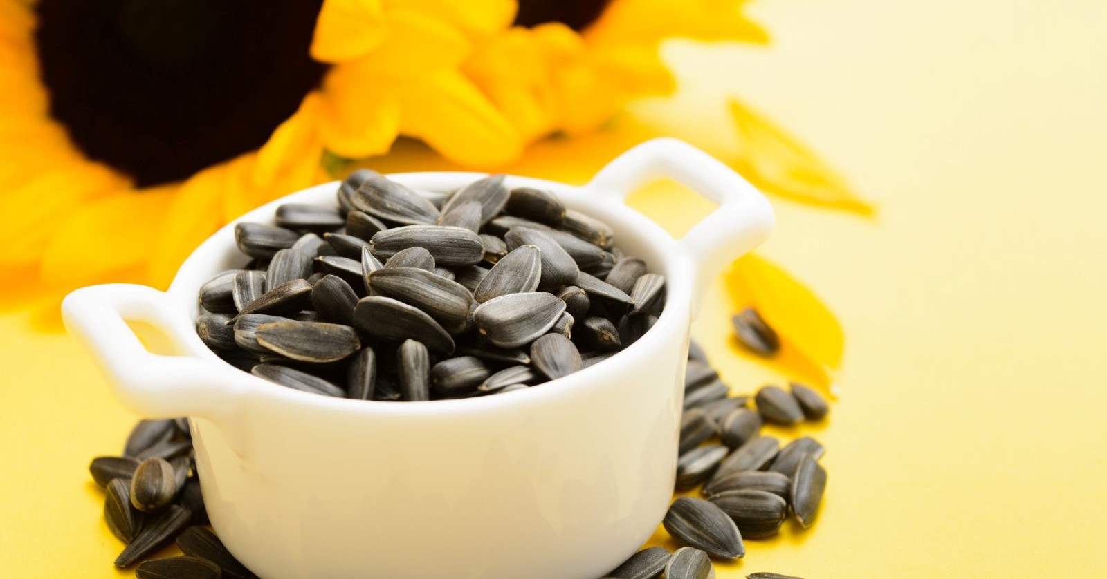 Weiße Schale mit schwarzen Sonnenblumenkernen vor gelbem Hintergrund und Sonnenblumenblättern; Sonnenblumenkerne von göral werden wegen erhöhter Schimmelpilz-Werte zurückgerufen.