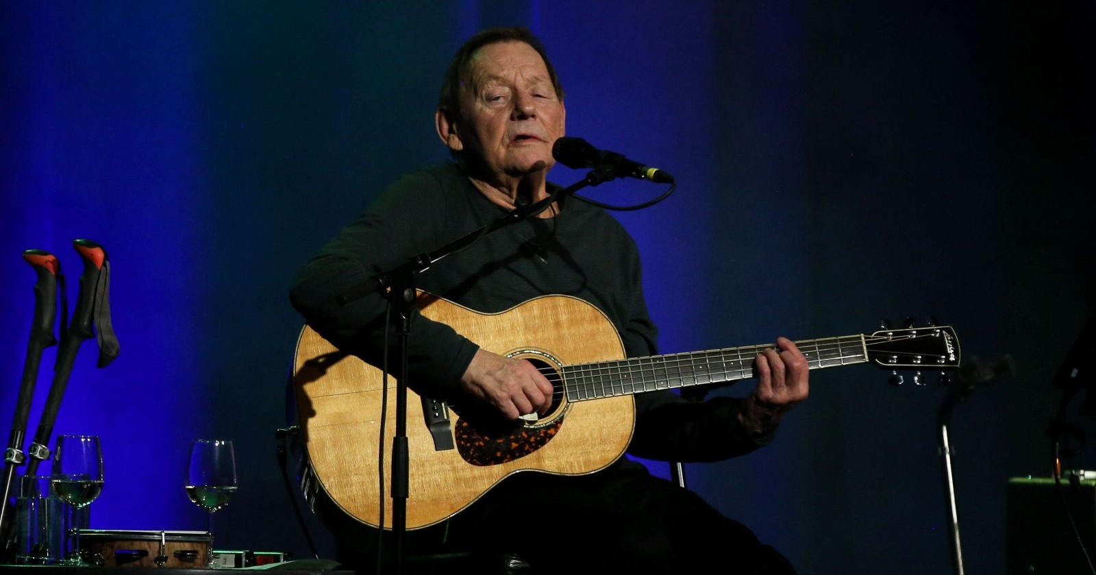 Wolfgang Ambros, Sänger, Liedermacher, während eines Konzertes in Linz