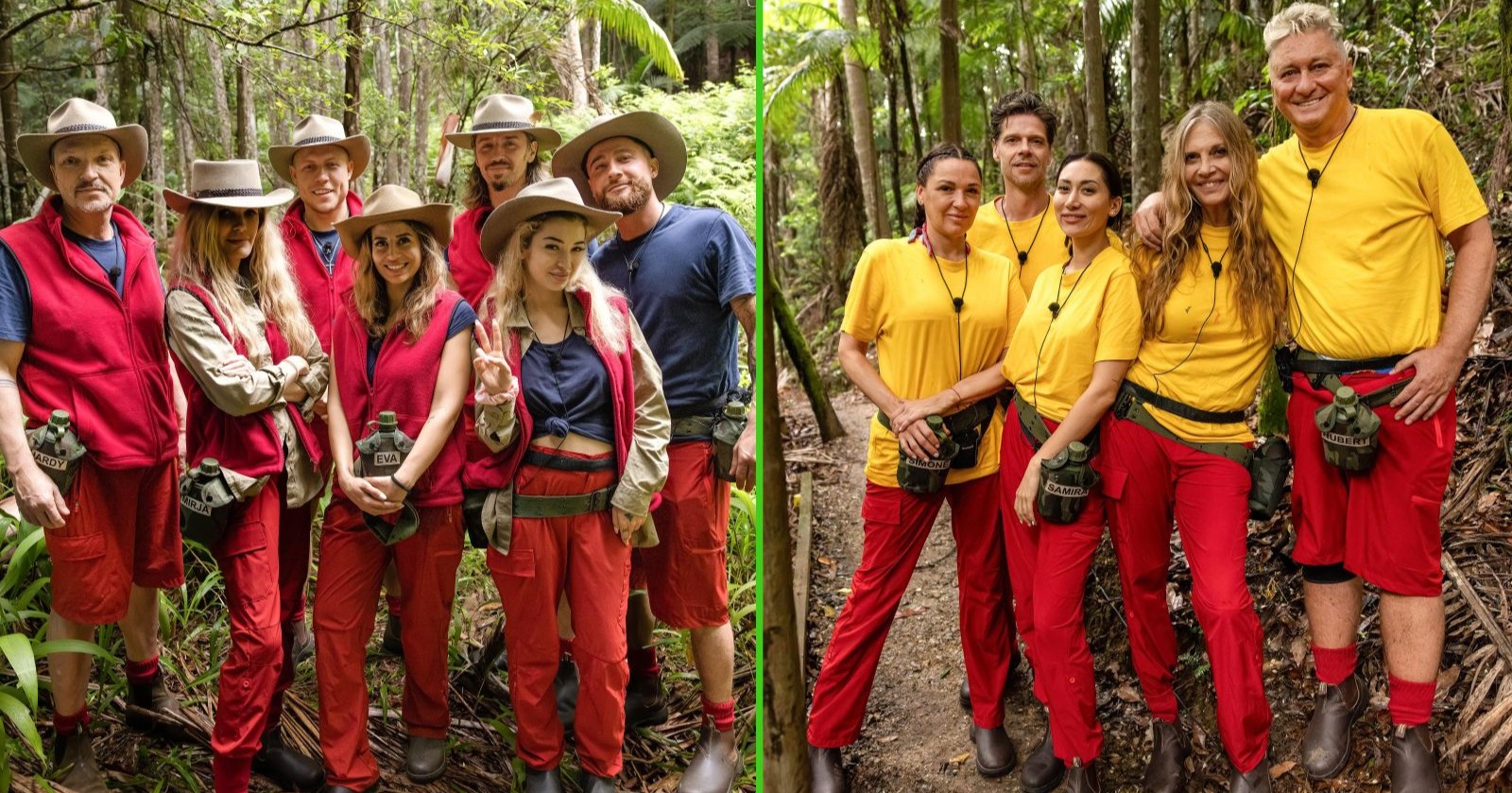 Die Stars des Dschungelcamps 2026