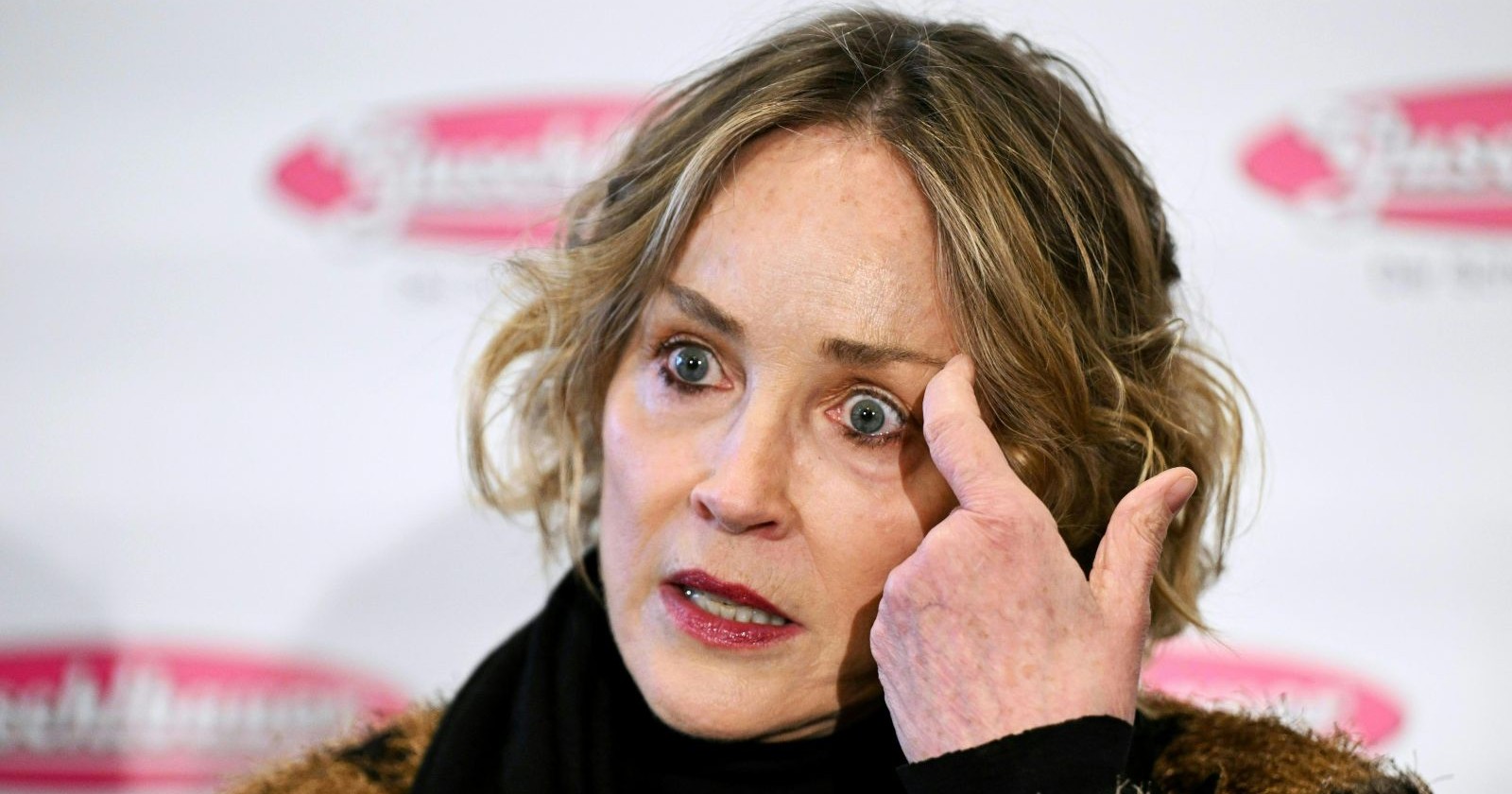 Sharon Stone spricht über ihr Kleid für den Wiener Opernball