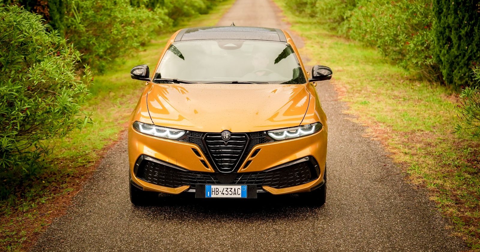 Ein gelber Alfa Romeo Tonale fährt auf eine schmalen Waldstraße. Neben der Straße ist ein schmaler Grasstreifen zu sehen, dahinter beginnt der Laubwald.