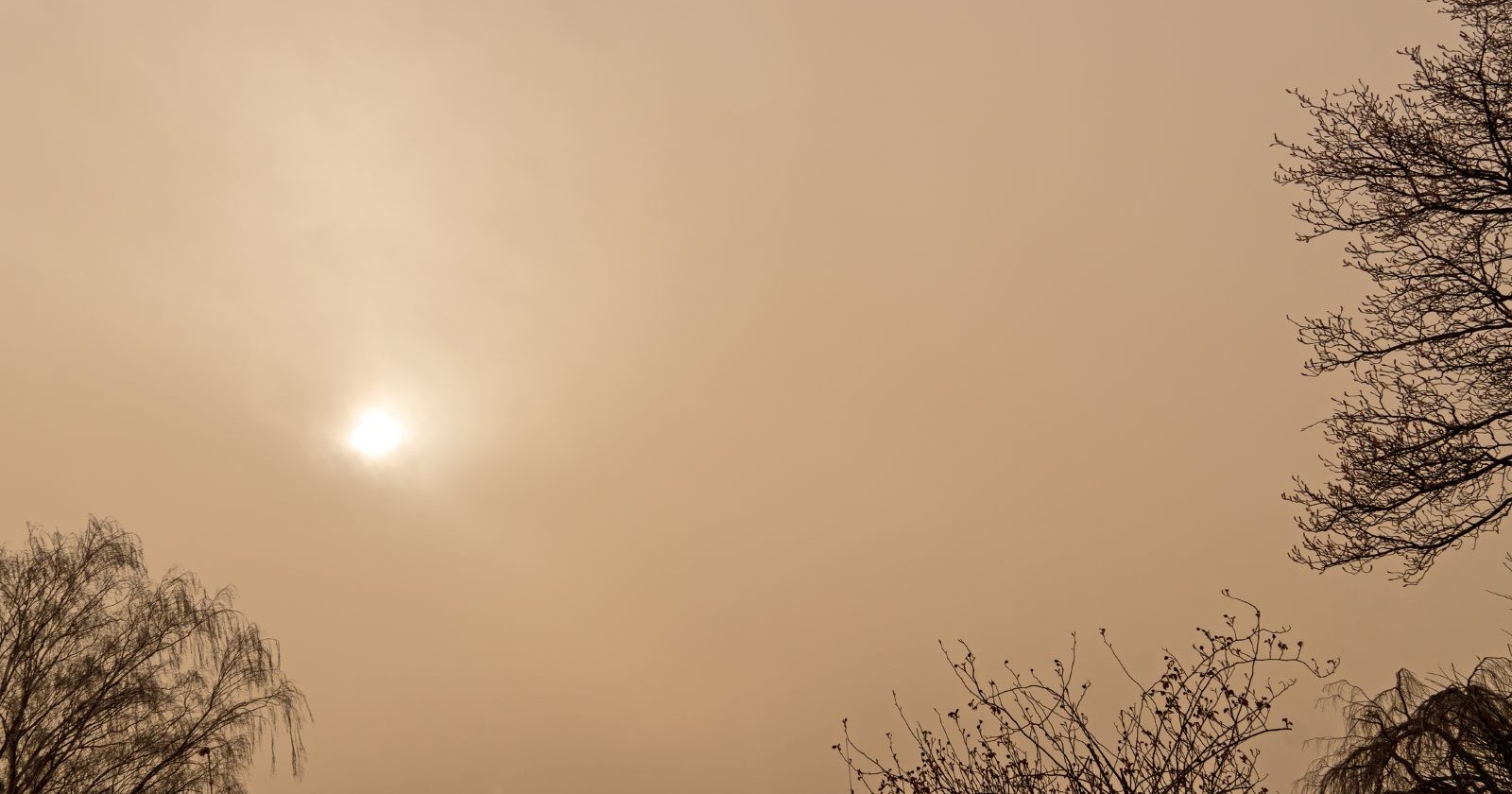 Milchiger Himmel durch Saharastaub über Österreich mit diffuser Sonne und frühlingshaftem Wetter.