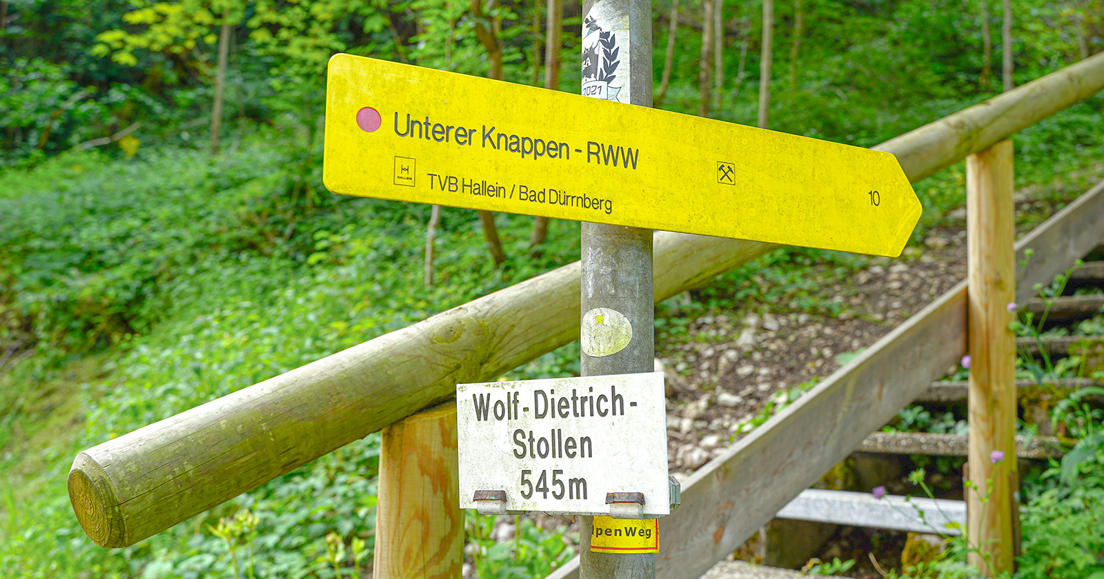 Treppe mitten im Wald | Credit: Stadtgemeinde Hallein