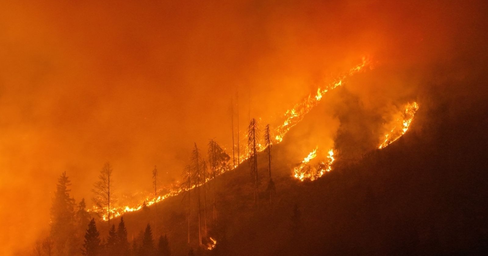Waldbrand im Lesachtal in Kärnten: Flammen breiten sich nachts über steilen Berghang bei Maria Luggau