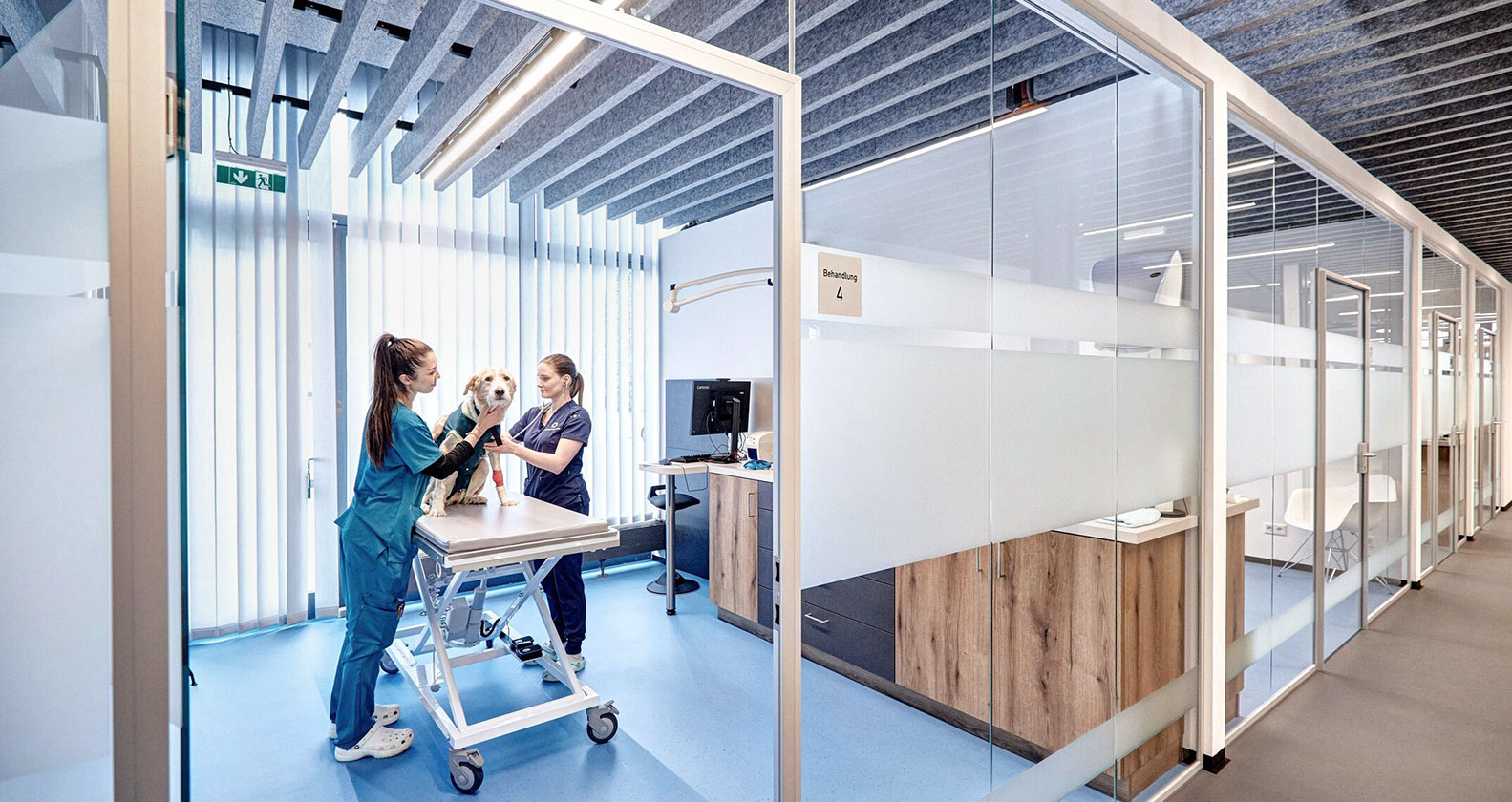 Hund im Vetzentrum Anif bei der Untersuchung | Credit:  | Credit: davidsailer.com