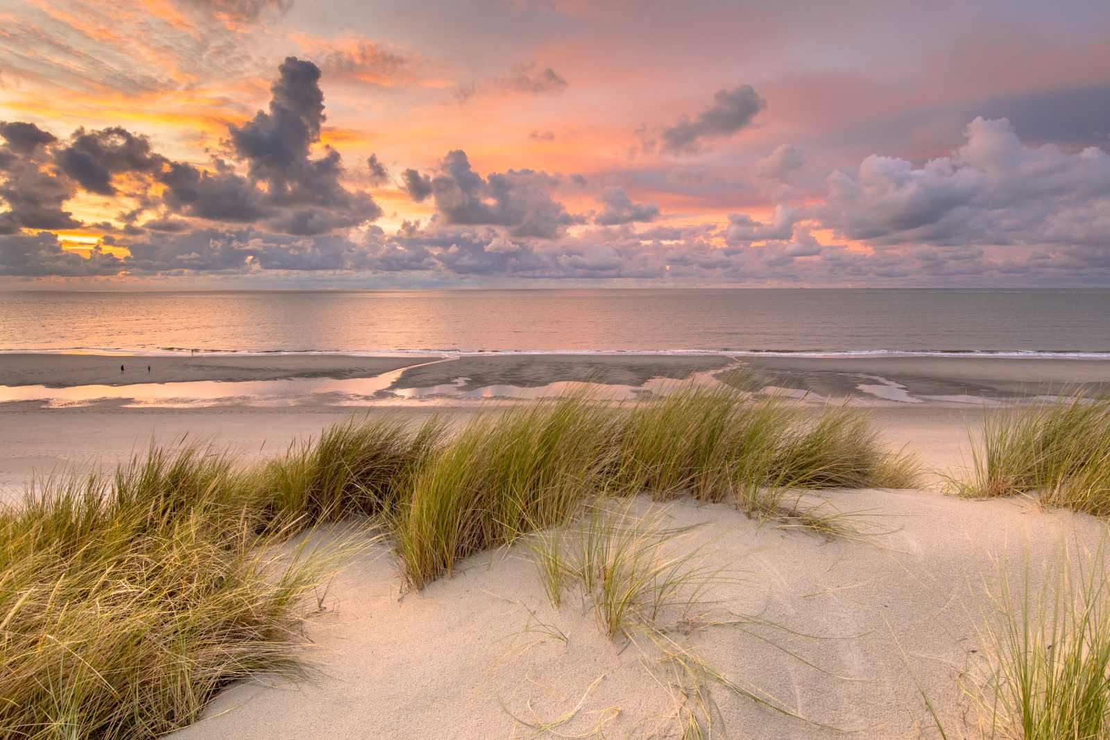 Dünenlandschaft auf Ameland mit Strandgras, weitem Sandstrand und farbenreichem Sonnenuntergang über dem Meer.