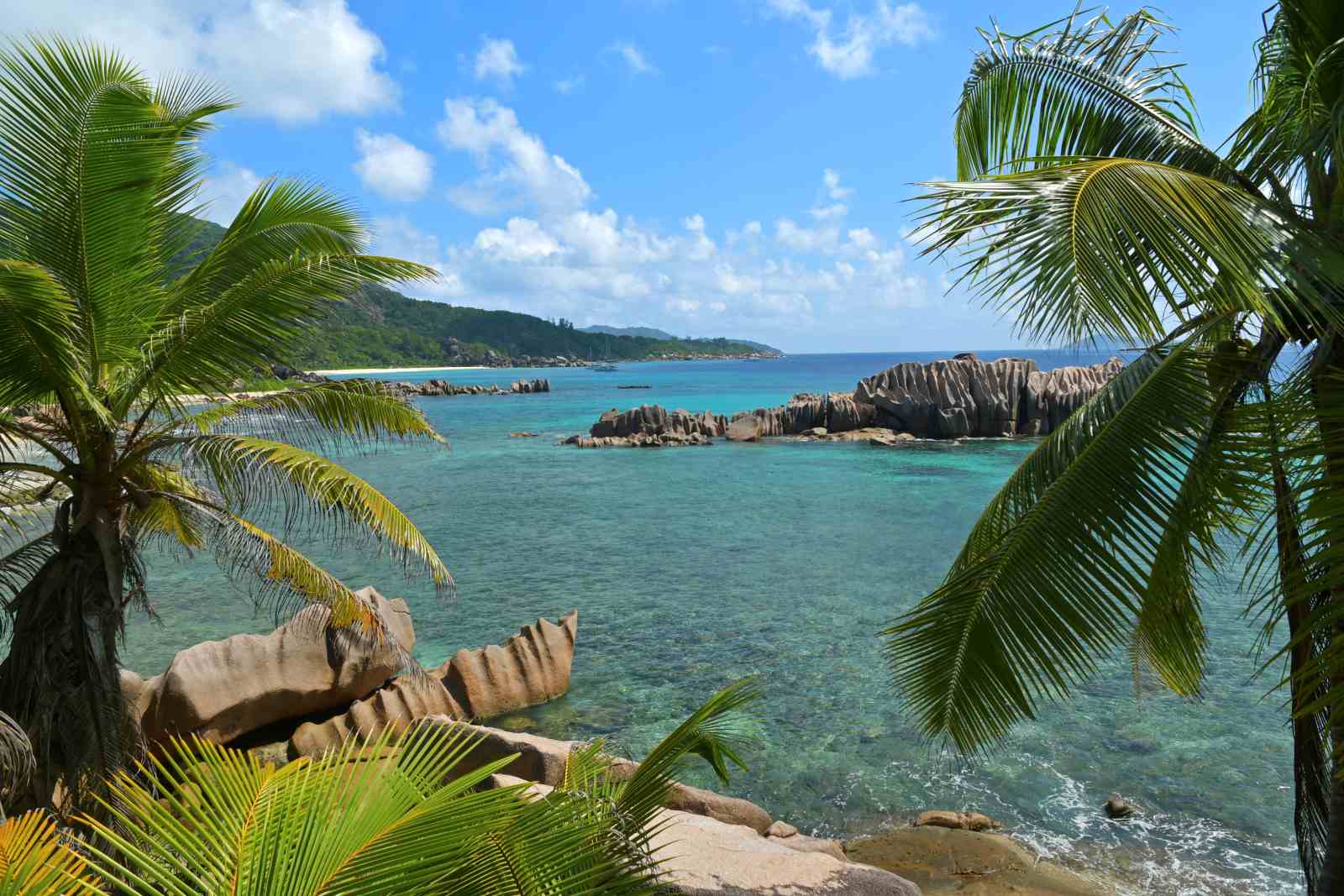 Tropische Bucht Anse Marron auf La Digue mit Palmen, türkisfarbenem Wasser und markanten Granitfelsen.