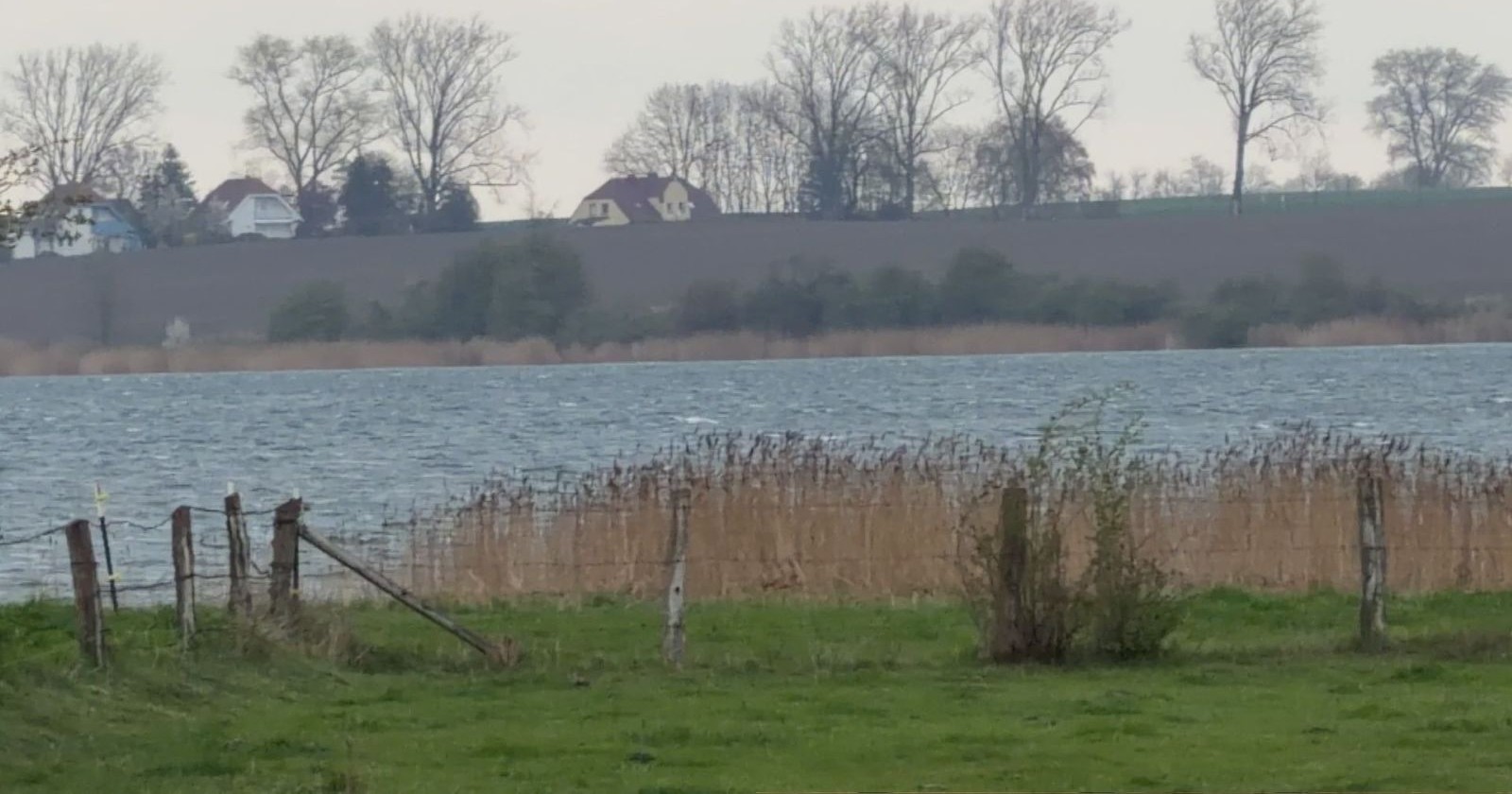 Buckelwal Timmy aktuell auf Sandbank in der Ostsee bei Poel, flaches Wasser und Küstenlandschaft sichtbar
