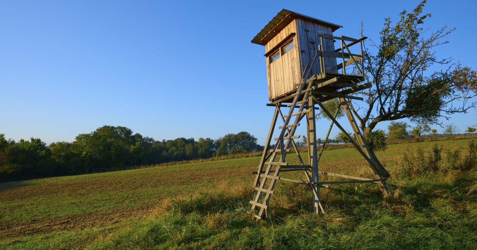 Ein Hochstand steht am Rande eines Waldes