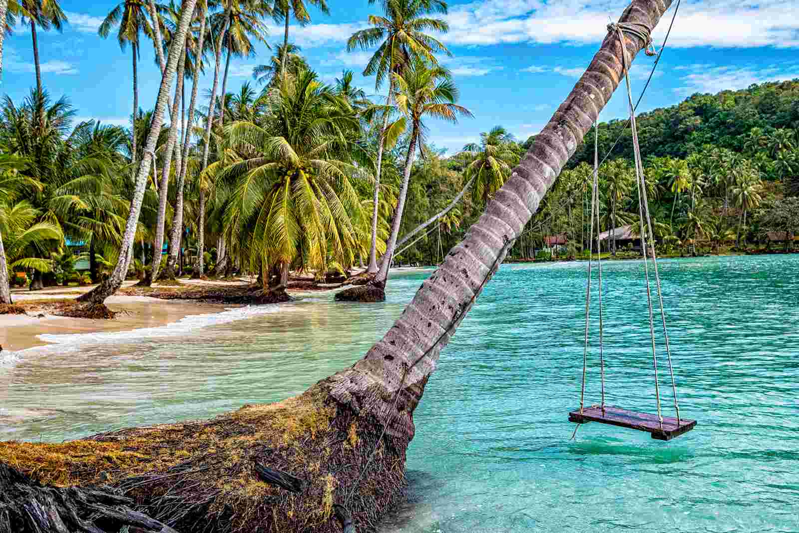 Schaukel an einer schrägen Palme über dem türkisfarbenen Wasser auf Koh Kood, umgeben von tropischem Dschungel.