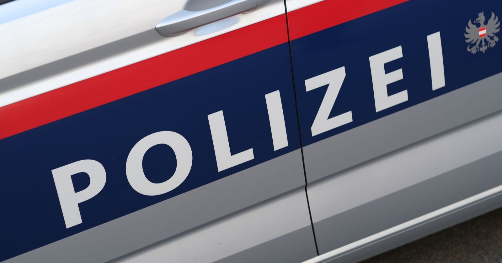 Außenansicht eines Wiener Polizeiwagens