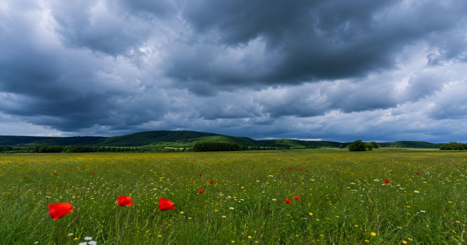 Kaltfront mit dunklen Gewitterwolken über grüner Wiese in Österreich, Wetterumschwung nach Hitzewelle