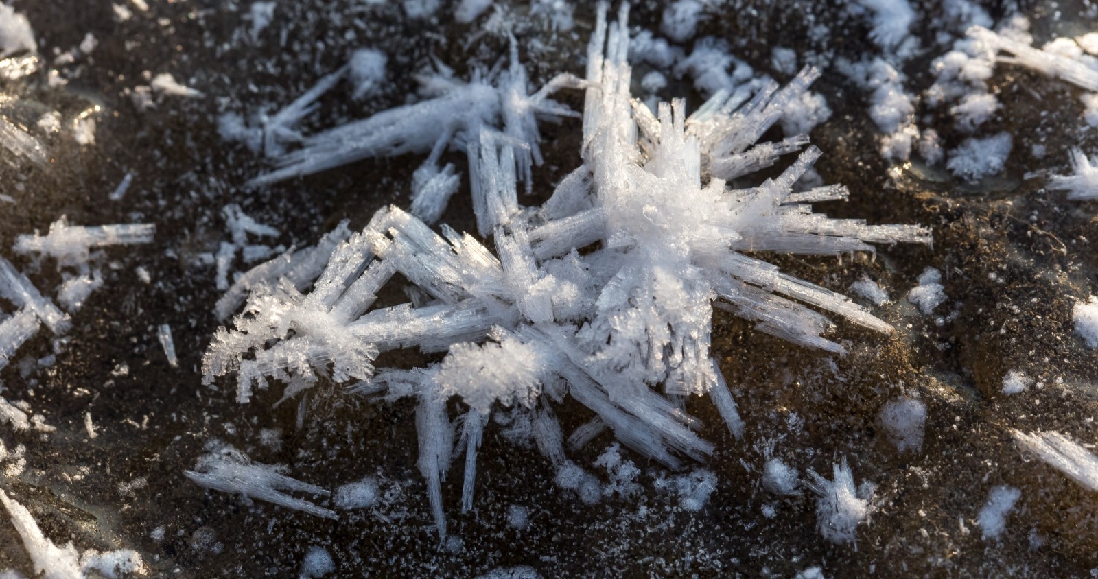 Eis und Schnee zu sehen auf einem winterlichen Boden.
