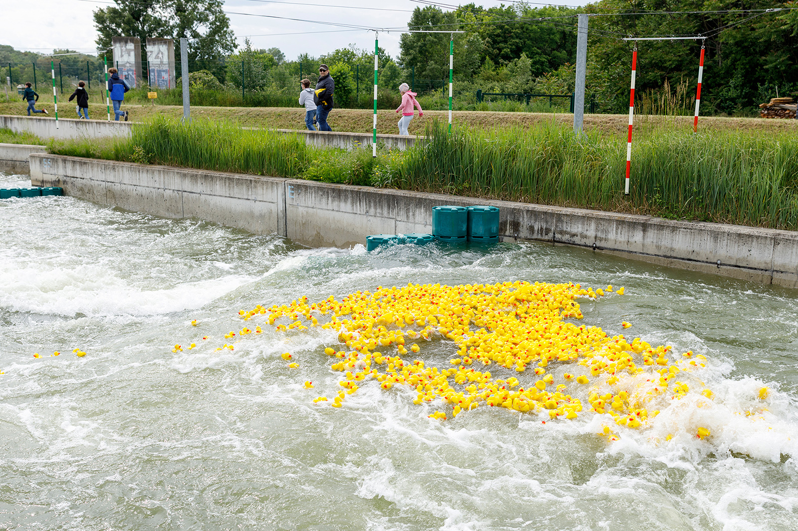 Entenrennen in einem Fluss | Credit: Rotary Club Wien Mozart