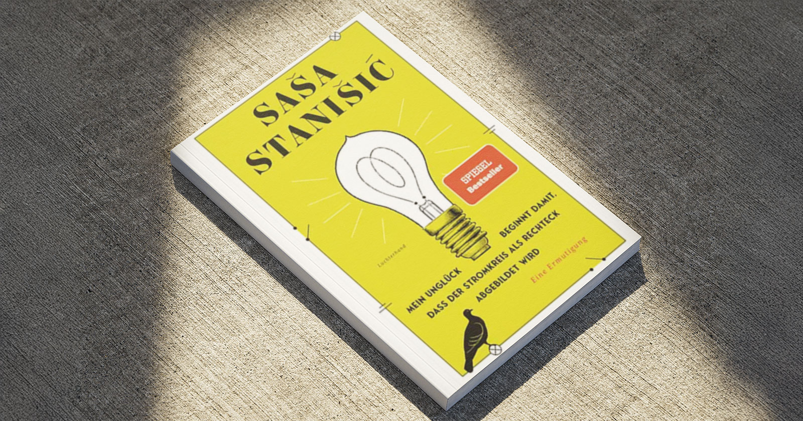 Buchtipp Saša Stanišić