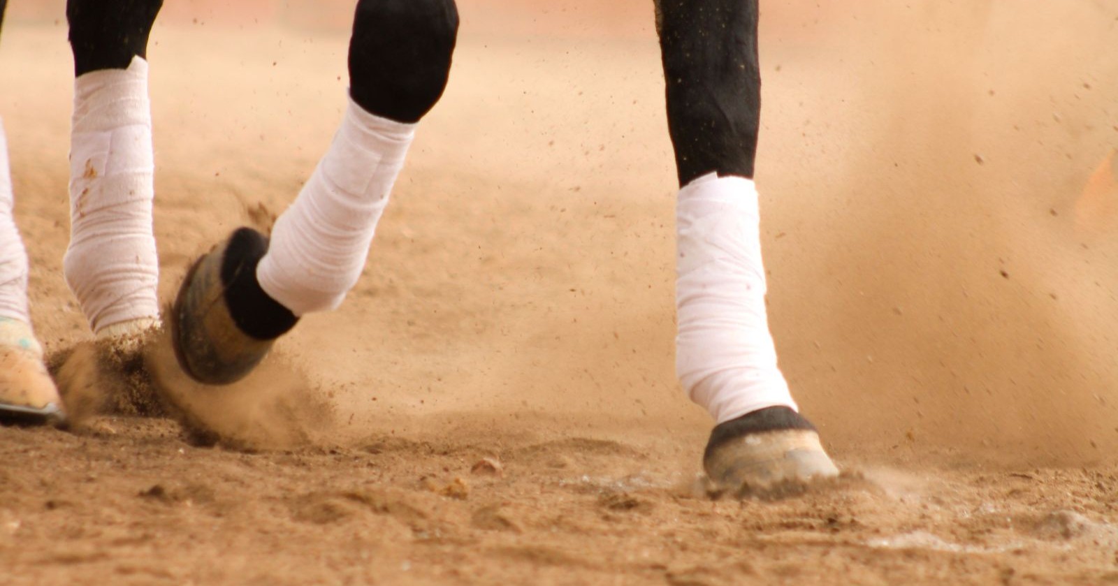 Reiten in der Steiermark: Pferdehufe in einer Reithalle symbolisieren einen Reitunfall, bei dem eine zwölfjährige Reiterin im Gesicht verletzt wurde.
