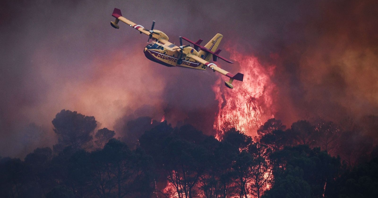 Einsatzkräfte kämpfen aus der Luft gegen die Flammen.