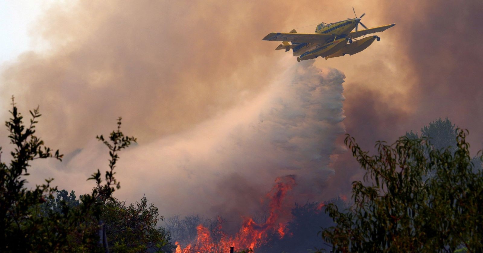 Löschflugzeug bekämpft Waldbrand in Europa vor gewaltiger Rauchsäule – Experten warnen vor gefährlichen Feuerwolken.