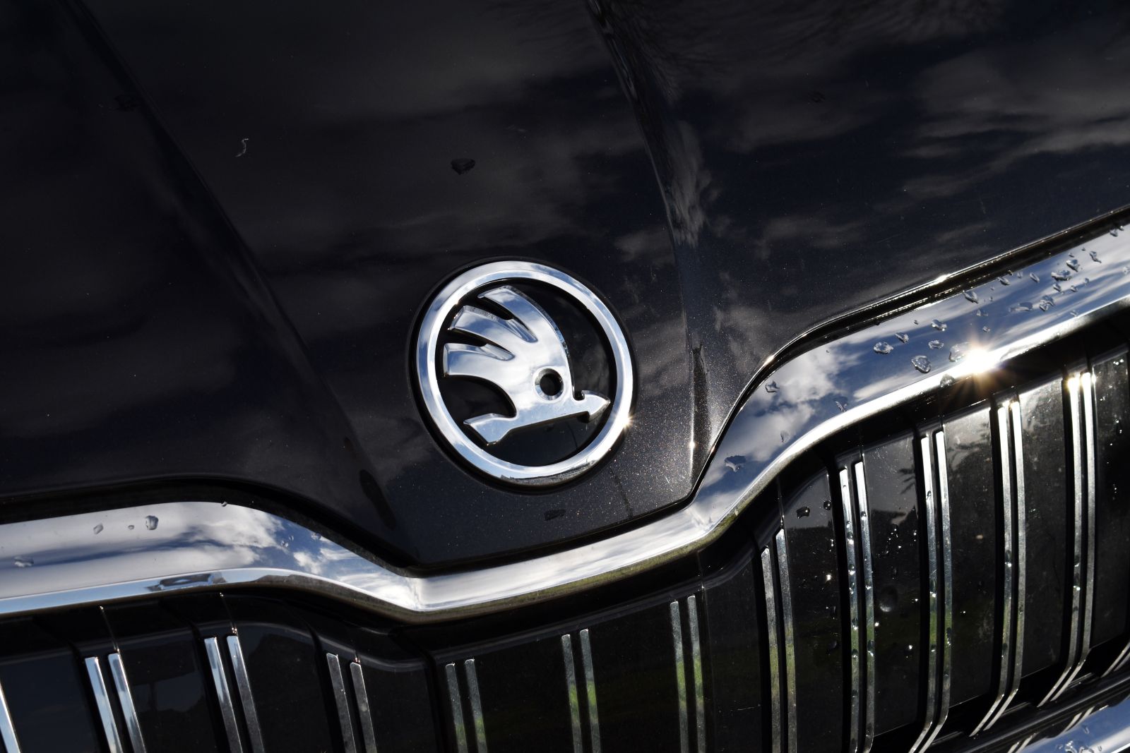 Motorhaube eines Skoda-Fahrzeuges, welches die Entwicklung von günstigen Elektroautos einstellt