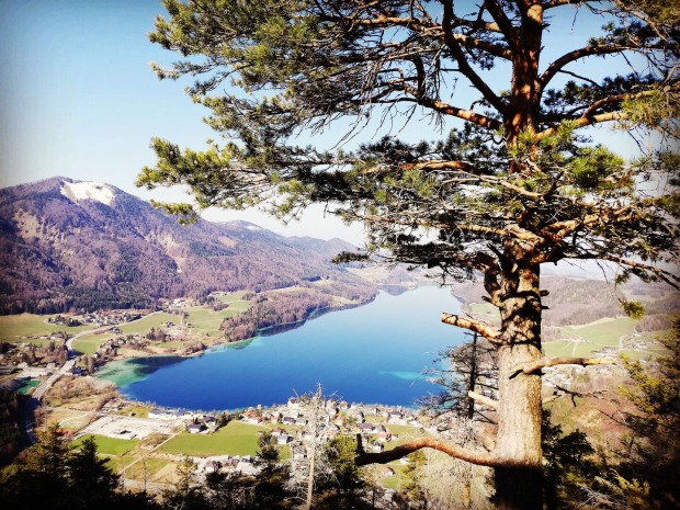 Ellmaustein | Credit: Simone Reitmeier