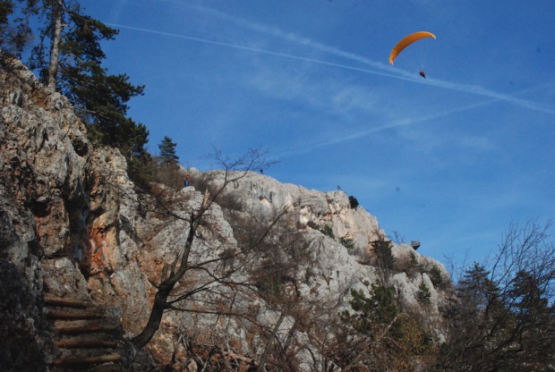 Paragleiter