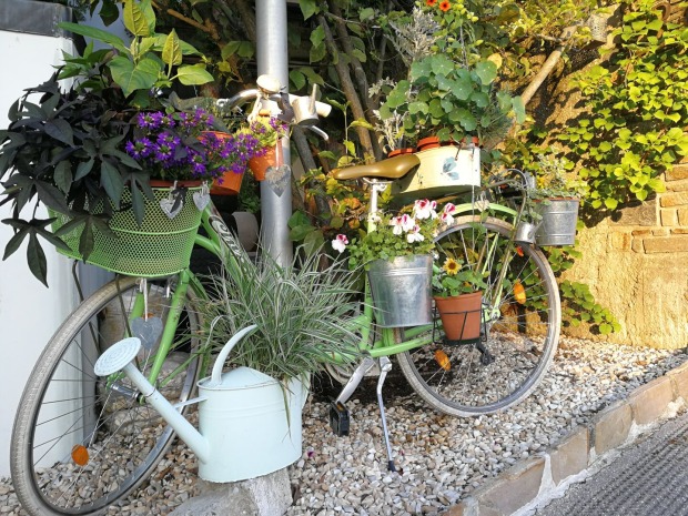 Blumen mit Fahrrad