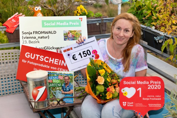 Preis für Social Media