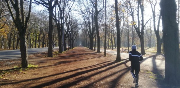 Läufer im Prater