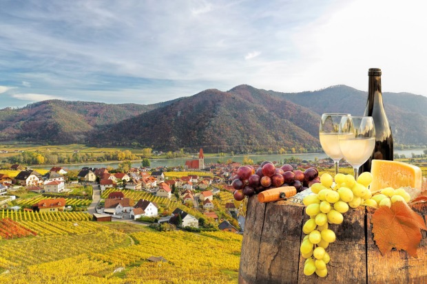 Weinfass mit Käse, Wein und Trauben vor der Kulisse des Weinviertels