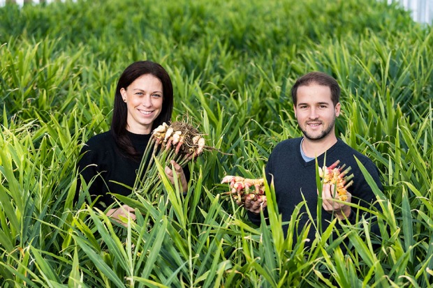 Irene Gombotz und Armin Lenz von den „Jungen WILDEN Gemüsebauern“