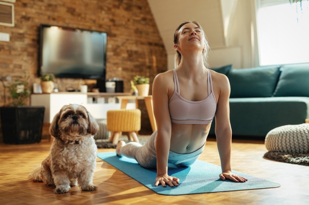 Frau auf Yogamatte im Wohnzimmer mit Hund
