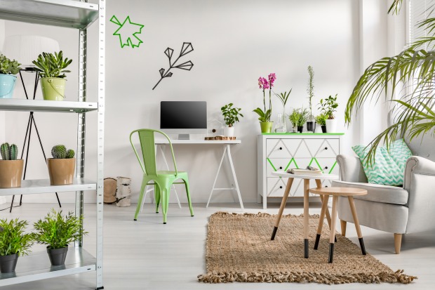 Büro mit einer Vielzahl an Pflanzen