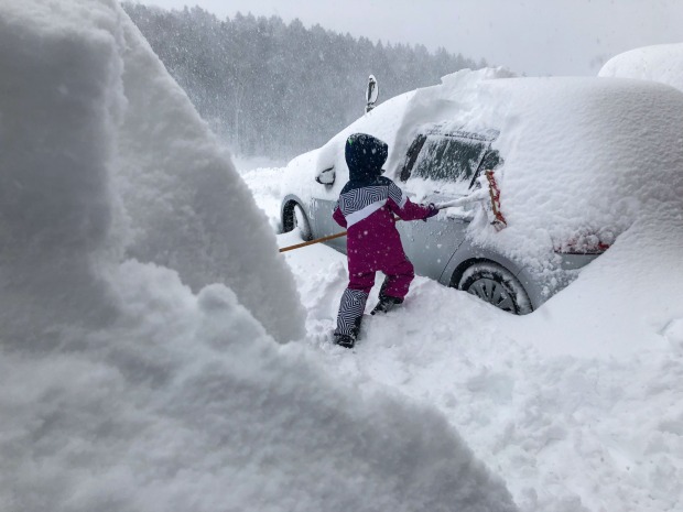 Schneegestöber 2019 | Credit: www.neumayr.cc