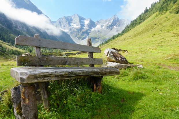 Holzbank auf der grünen Wiese