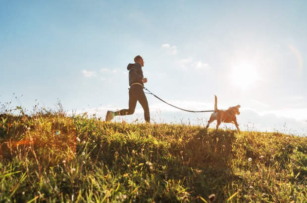 Wanderung Hund