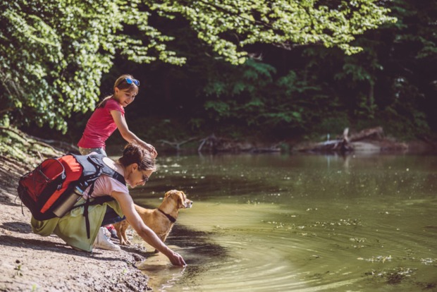 Vorarlberg Wandern Hund