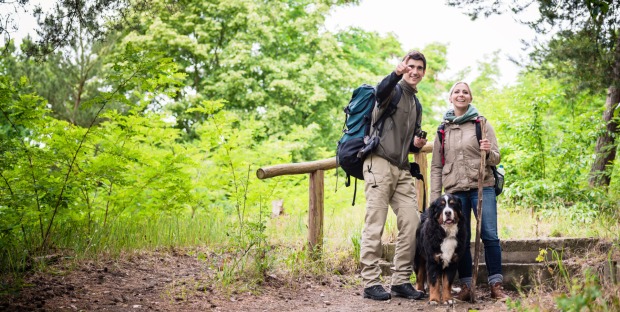 Urlaub Hund Steiermark