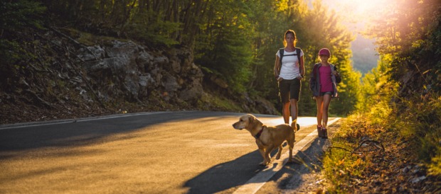 Wanderwege Vorarlberg Hundeurlaub