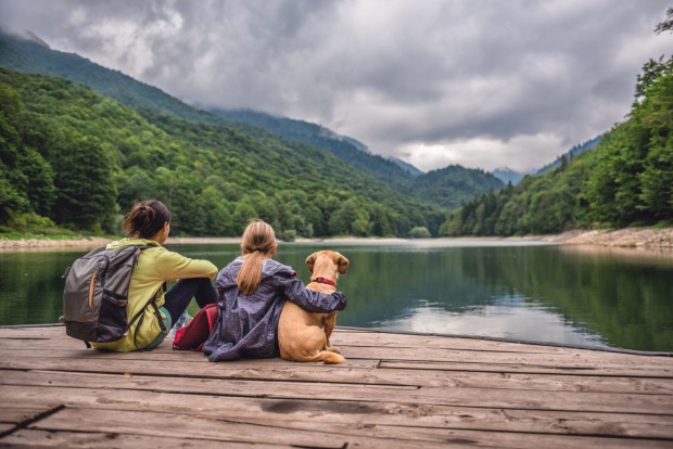 Salzburger Seen Hundeurlaub