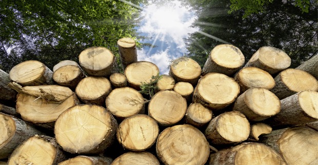 Holzstapel
