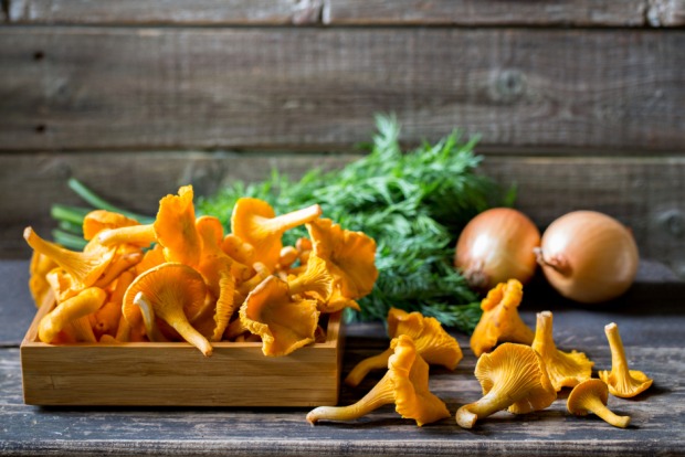 Eierschwammerl | Credit: iStock.com/Olgaorly