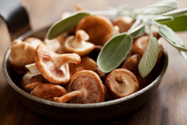 Shiitake | Credit: iStock.com/loooby