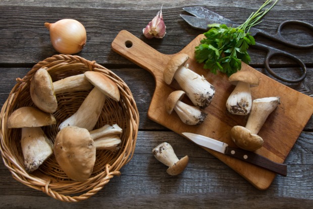 Steinpilze | Credit: iStock.com/Svetlana-Cherruty