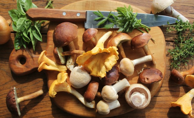 Steinpilze und Eierschwammerl | Credit: iStock.com/Vaivirga