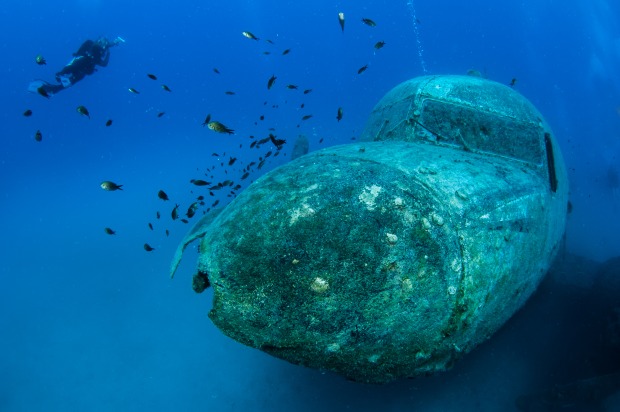 Die "Nase" des Flugzeugs | Credit: iStock.com/Divepic