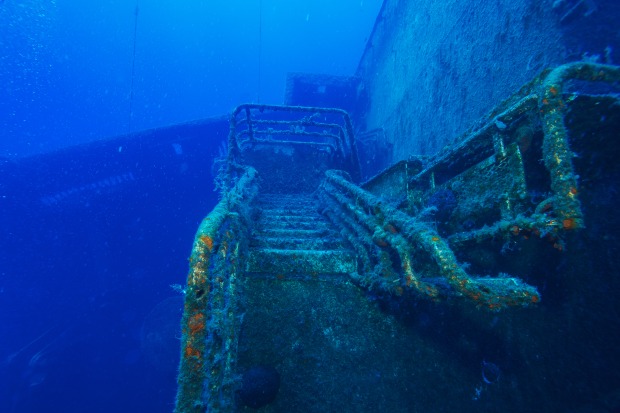 Zenobia | Credit: iStock.com7/Rostislavv