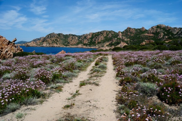 Auf dem Fußweg zu einem der schönsten Strände Sardiniens | Credit: iStock.com/Rodolfo Baldussi